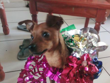 bambi en mode d�coration de no�l